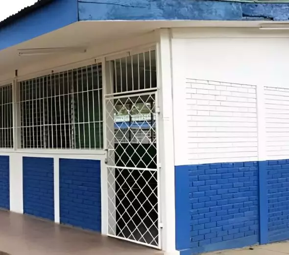 Ladrillo Cuarterón de 12 Pulgadas en Nicaragua - Imagen 2