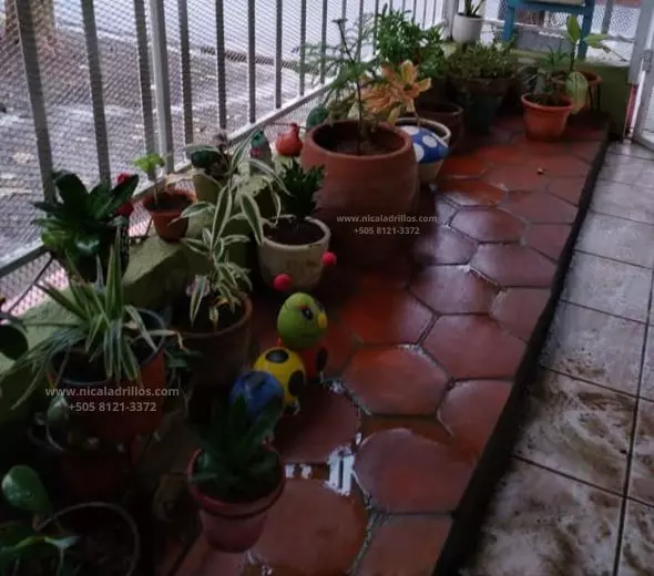 Ladrillos de Barro para Piso en Nicaragua - Imagen 3